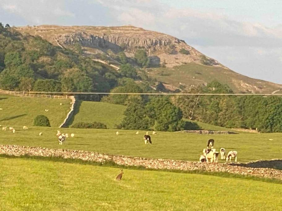 Charming Dog-Friendly Yorkshire Dales Cottage, Austwick エクステリア 写真