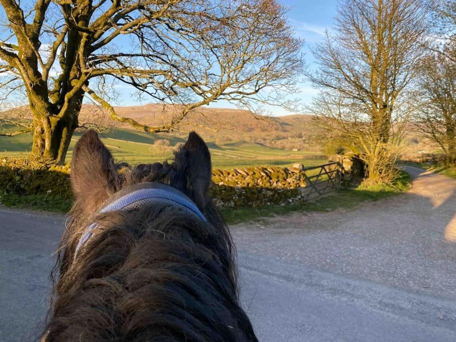 Charming Dog-Friendly Yorkshire Dales Cottage, Austwick エクステリア 写真
